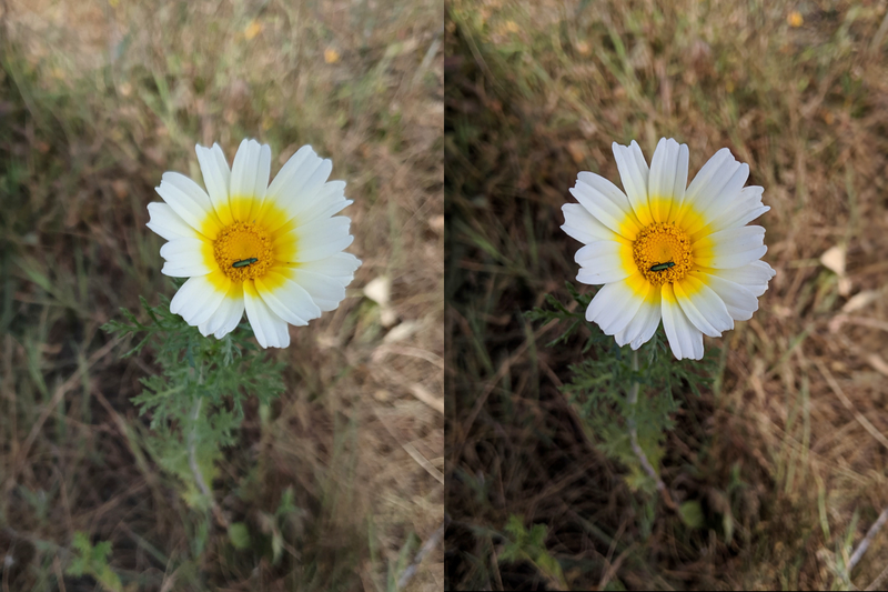 Galaxy S10 (izquierda) vs Pixel 3 XL (derecha) en modo retrato